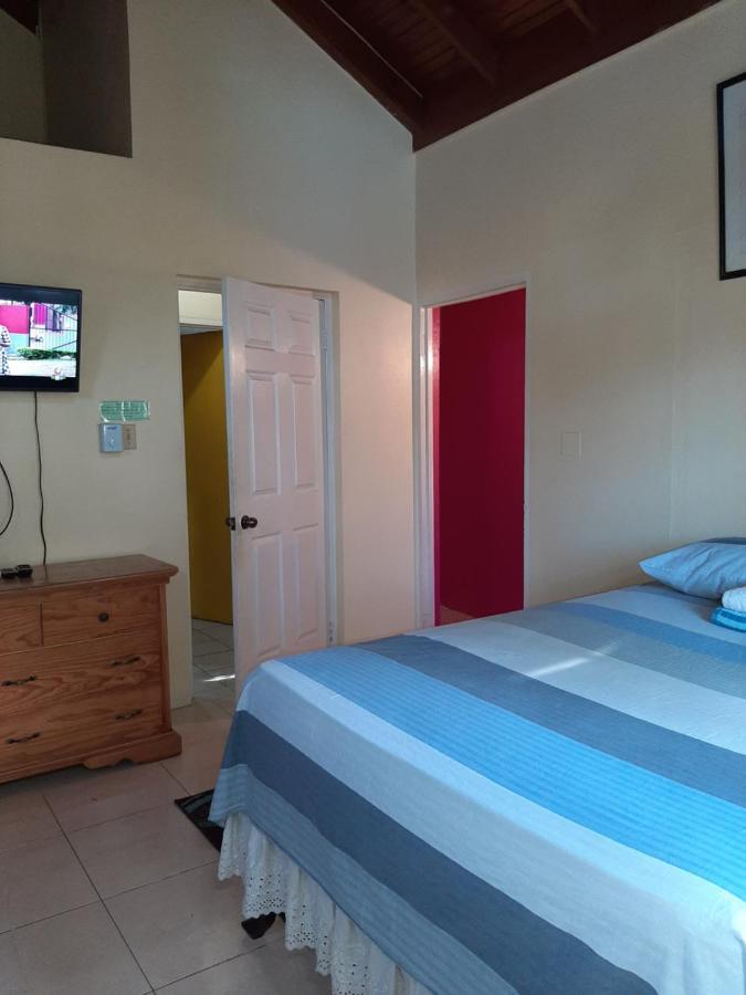Dancehall Hostel 킹스톤 외부 사진